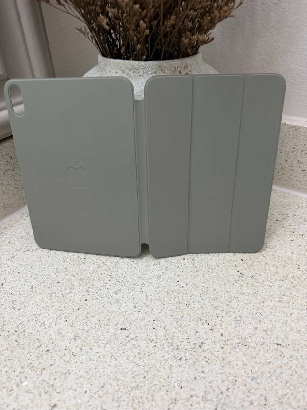 Apple slim folio